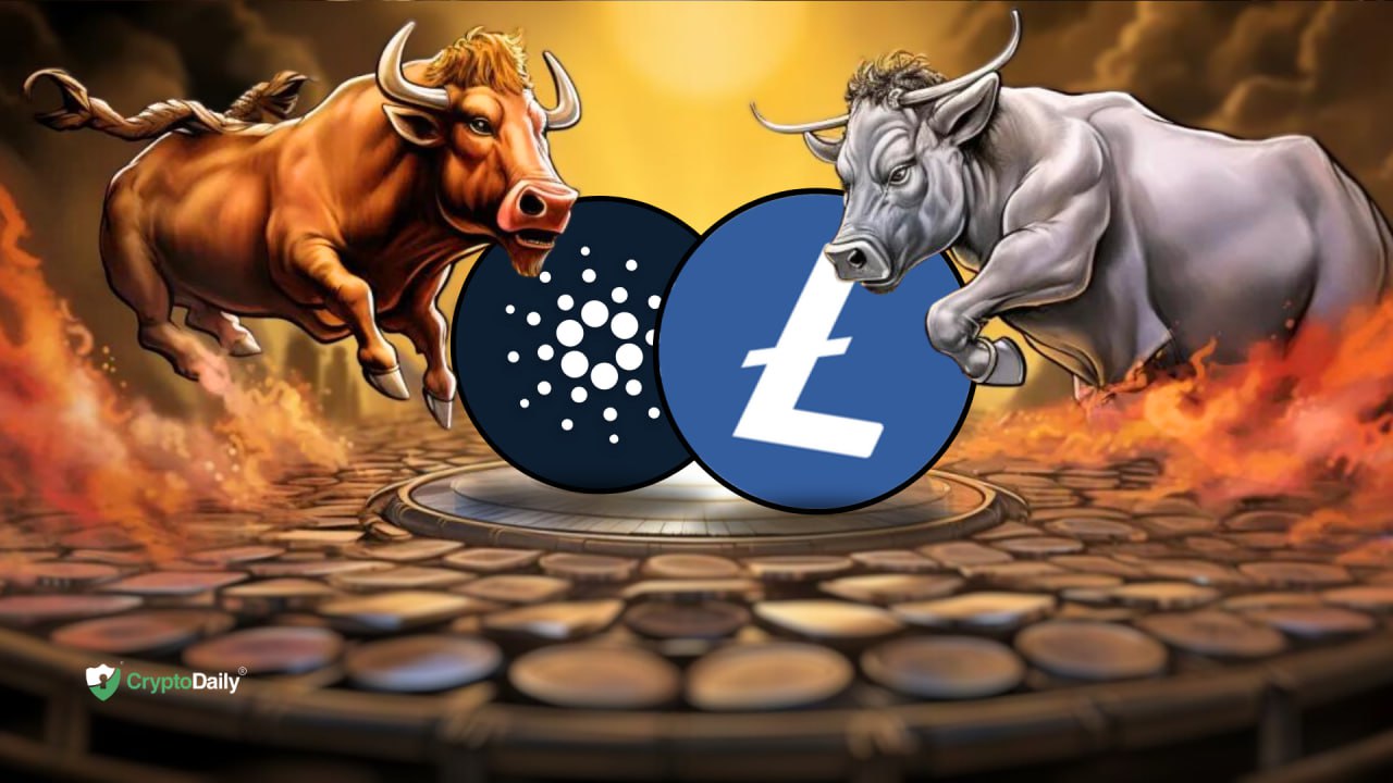 With an Altcoin Bull Run on the Horizon, Cardano (ADA) and Litecoin (LTC) May Jostle for the Top Spot