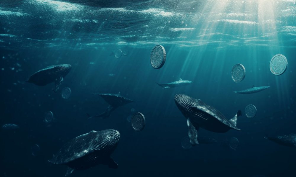 XRP whales are busy keeping the buy tab open - Here’s how
